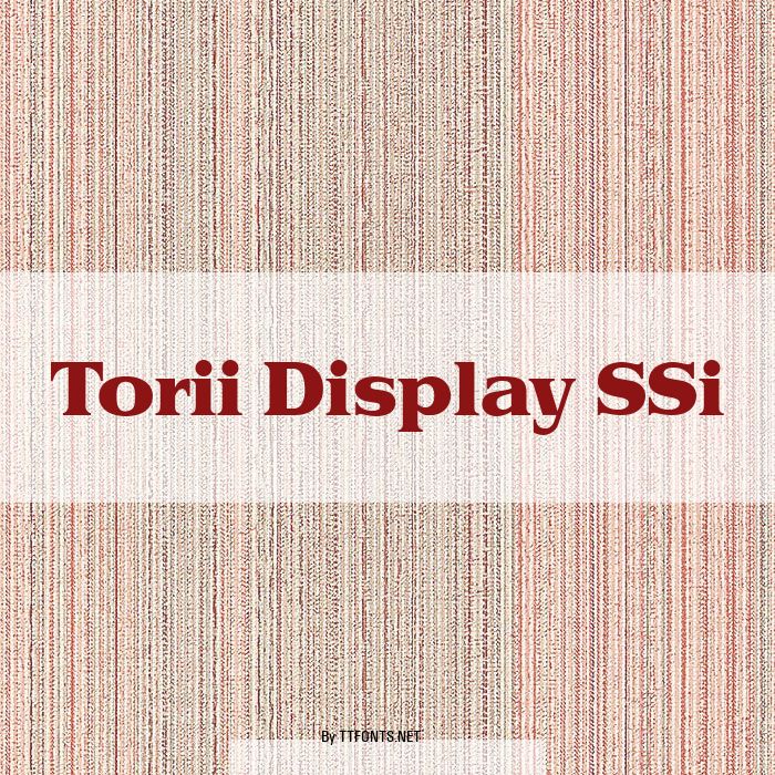 Torii Display SSi example